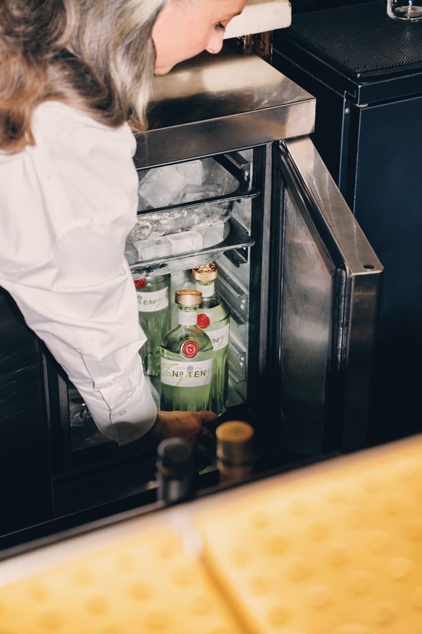 A person pulling a chilled bottle of Tanqueray No. Ten out of a fridge