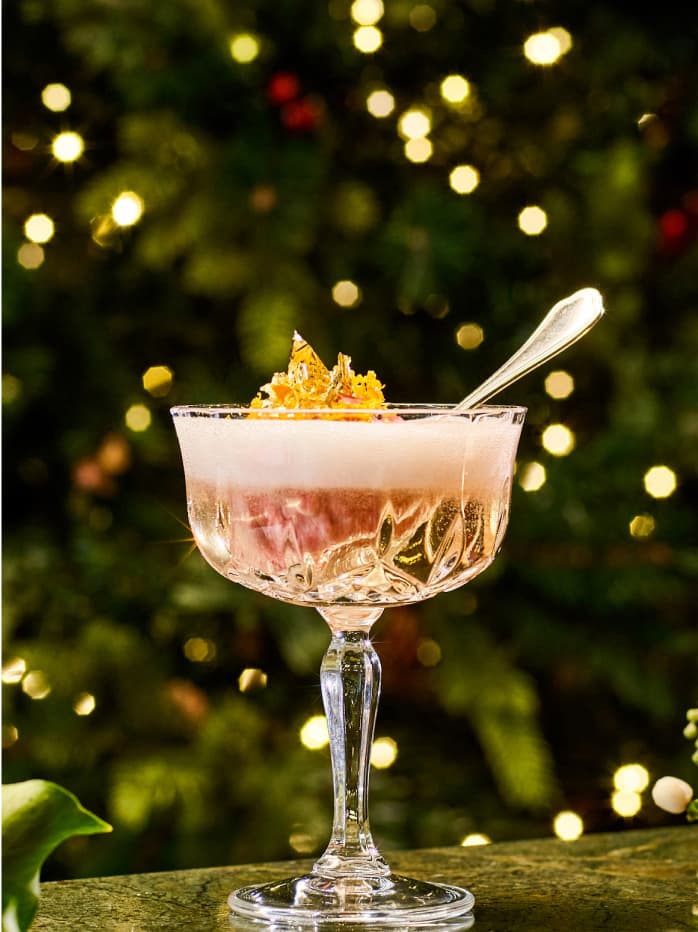 A close up of a Tanqueray Nº TEN Pomegranate Sgroppino cocktail in a crystal glass.