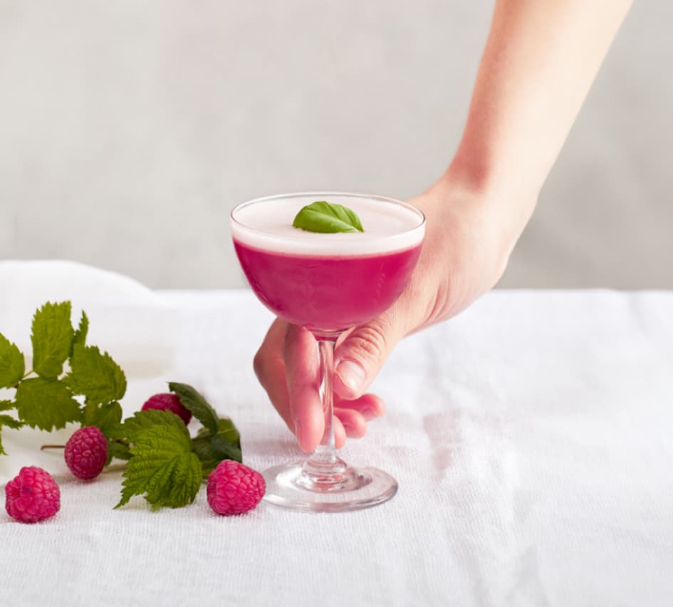 Two Tanqueray Blackcurrant Royale Spritz cocktails garnished with dark berries and lemon slices.